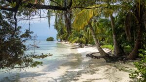 譲渡制限株式の売買価格の決定(会社法144条)