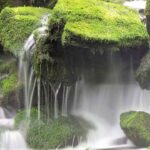 株主名簿の閲覧謄写請求権(会社法125条)