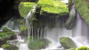 株主名簿の閲覧謄写請求権(会社法125条)